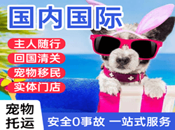 浦东航空快递国际宠物托运 【国